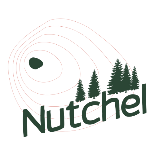nuchel logo